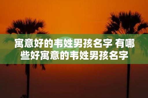 寓意好的韦姓男孩名字 有哪些好寓意的韦姓男孩名字