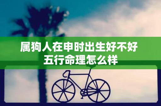 属狗人在申时出生好不好 五行命理怎么样