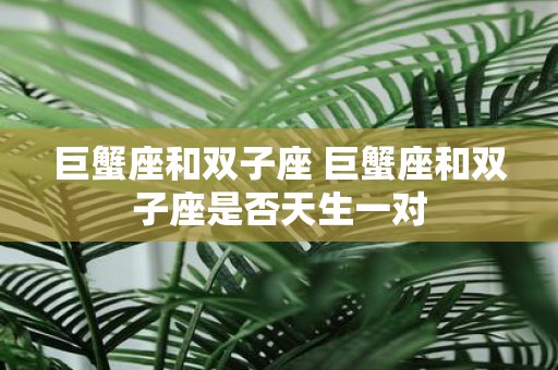 巨蟹座和双子座 巨蟹座和双子座是否天生一对