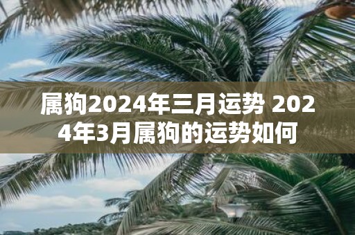 属狗2025年三月运势 2025年3月属狗的运势如何