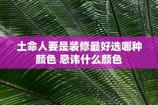 土命人要是装修最好选哪种颜色 忌讳什么颜色