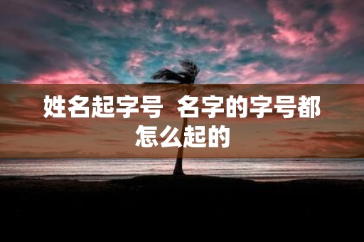 姓名起字号 名字的字号都怎么起的