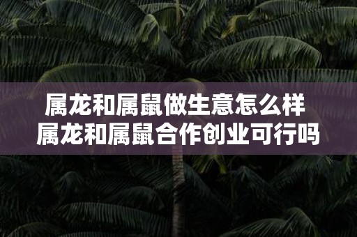 属龙和属鼠做生意怎么样 属龙和属鼠合作创业可行吗