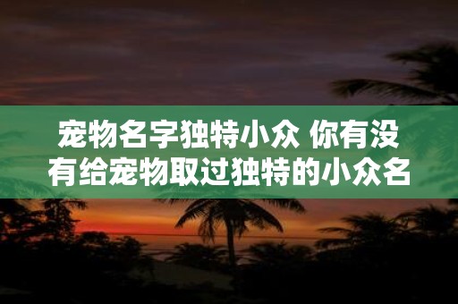 宠物名字独特小众 你有没有给宠物取过独特的小众名字
