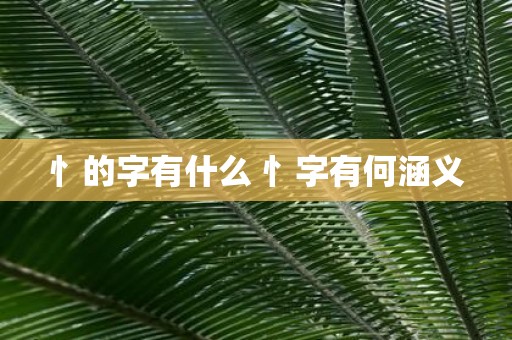 忄的字有什么 忄字有何涵义