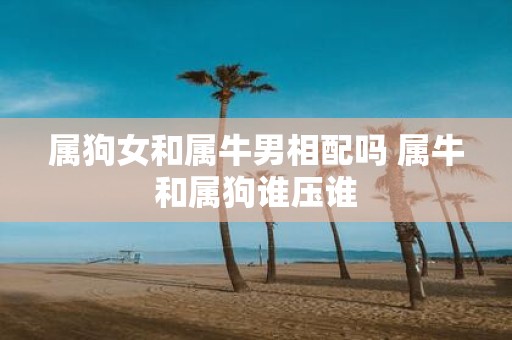 属狗女和属牛男相配吗 属牛和属狗谁压谁