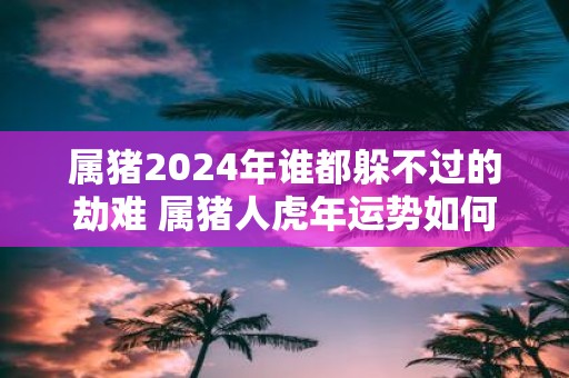 属猪2025年谁都躲不过的劫难 属猪人虎年运势如何