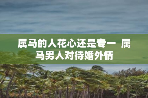 属马的人花心还是专一 属马男人对待婚外情