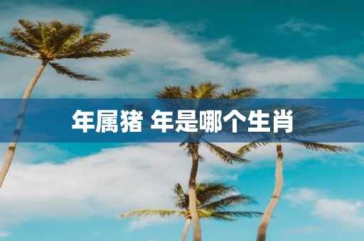 年属猪 年是哪个生肖