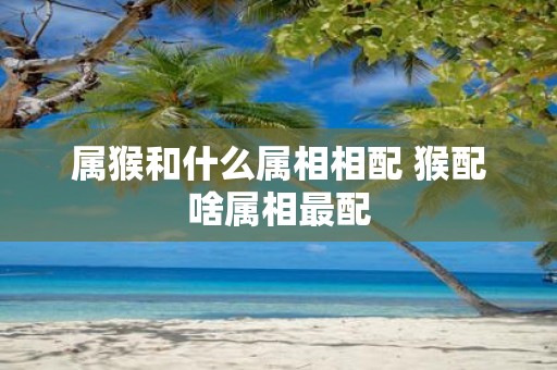 属猴和什么属相相配 猴配啥属相最配