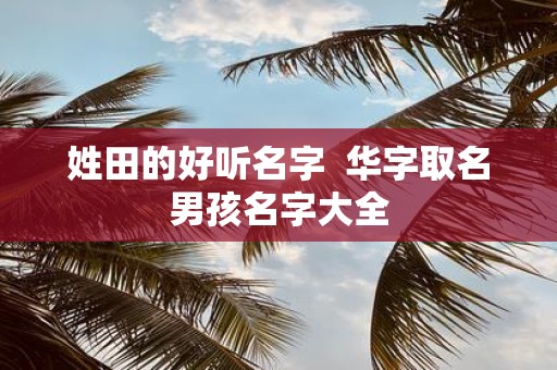 姓田的好听名字 华字取名男孩名字大全