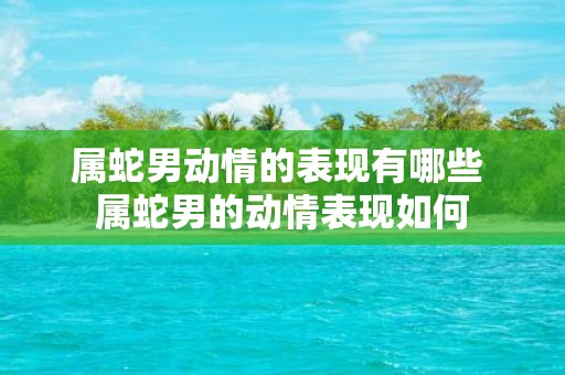 属蛇男动情的表现有哪些 属蛇男的动情表现如何