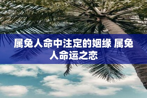 属兔人命中注定的姻缘 属兔人命运之恋
