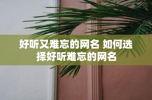 好听又难忘的网名 如何选择好听难忘的网名