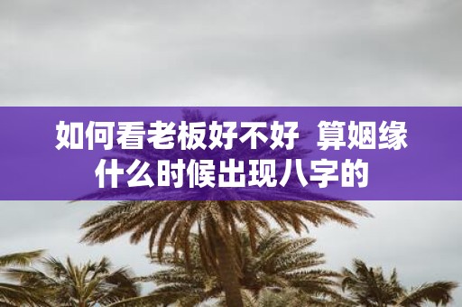 如何看老板好不好 算姻缘什么时候出现八字的