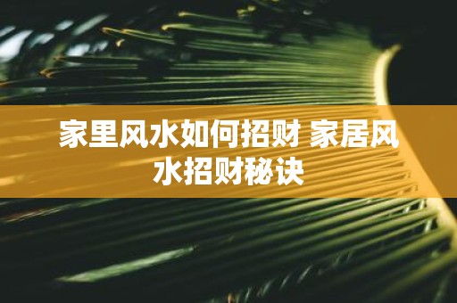 家里风水如何招财 家居风水招财秘诀