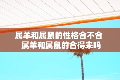 属羊和属鼠的性格合不合 属羊和属鼠的合得来吗