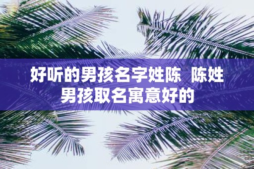 好听的男孩名字姓陈 陈姓男孩取名寓意好的