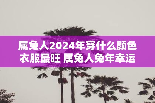 属兔人2025年穿什么颜色衣服最旺 属兔人蛇年幸运色是什么