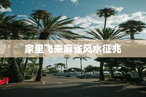 家里飞来麻雀风水征兆