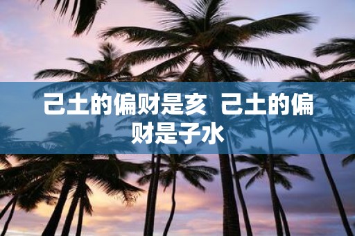 己土的偏财是亥 己土的偏财是子水