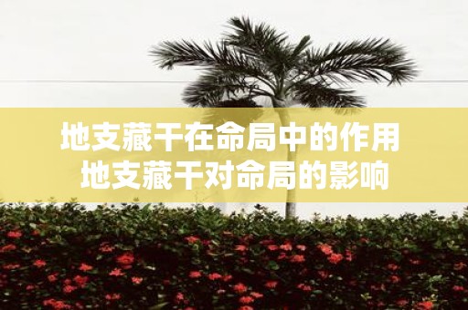 地支藏干在命局中的作用 地支藏干对命局的影响