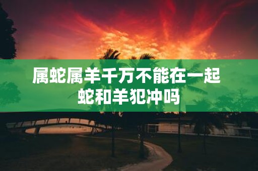 属蛇属羊千万不能在一起 蛇和羊犯冲吗