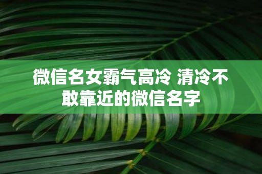 微信名女霸气高冷 清冷不敢靠近的微信名字