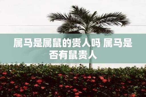属马是属鼠的贵人吗 属马是否有鼠贵人