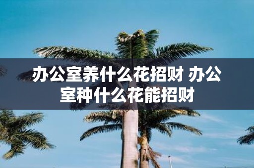 办公室养什么花招财 办公室种什么花能招财