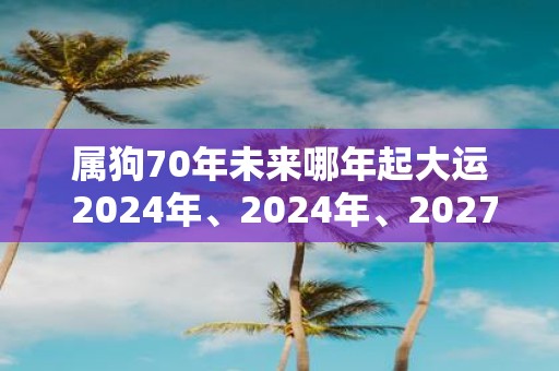 属狗70年未来哪年起大运 2025年、2025年、2027年