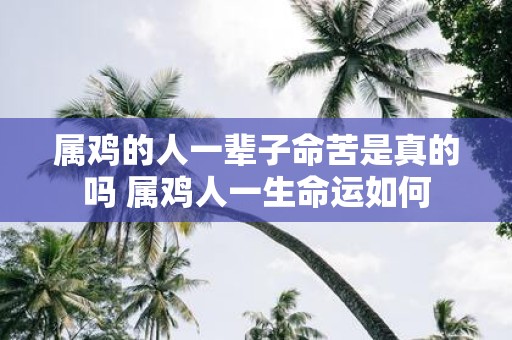 属鸡的人一辈子命苦是真的吗 属鸡人一生命运如何
