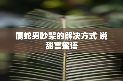 属蛇男吵架的解决方式 说甜言蜜语