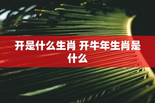 开是什么生肖 开牛年生肖是什么