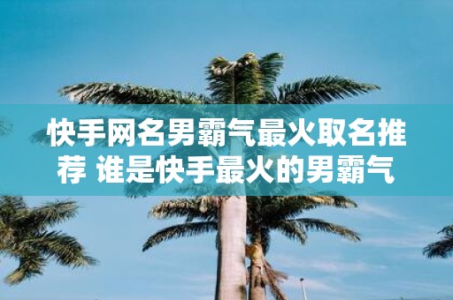 快手网名男霸气最火取名推荐 谁是快手最火的男霸气网名