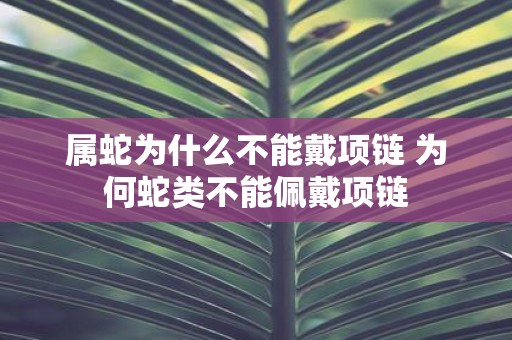 属蛇为什么不能戴项链 为何蛇类不能佩戴项链