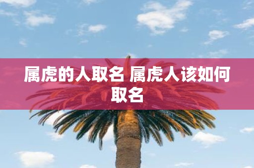 属虎的人取名 属虎人该如何取名