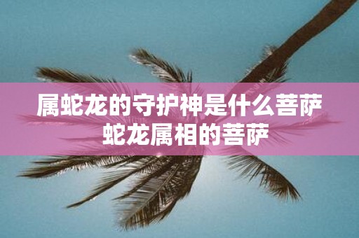 属蛇龙的守护神是什么菩萨 蛇龙属相的菩萨