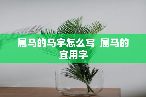 属马的马字怎么写 属马的宜用字