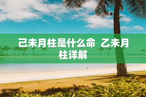 己未月柱是什么命 乙未月柱详解
