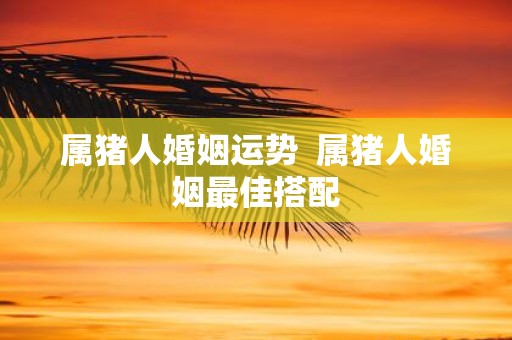 属猪人婚姻运势 属猪人婚姻最佳搭配