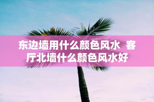 东边墙用什么颜色风水 客厅北墙什么颜色风水好
