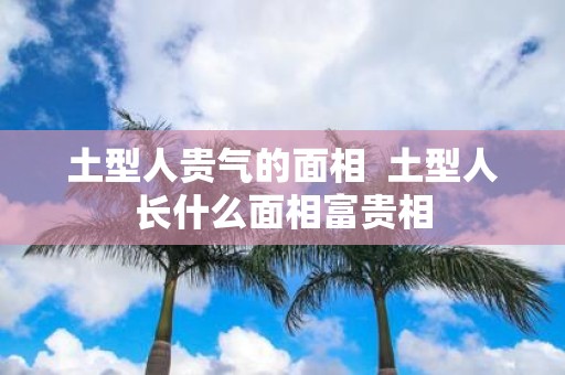 土型人贵气的面相 土型人长什么面相富贵相