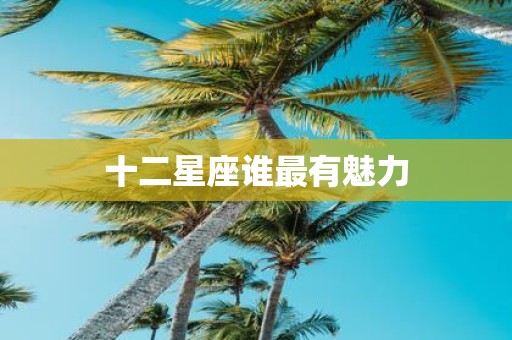 十二星座谁最有魅力