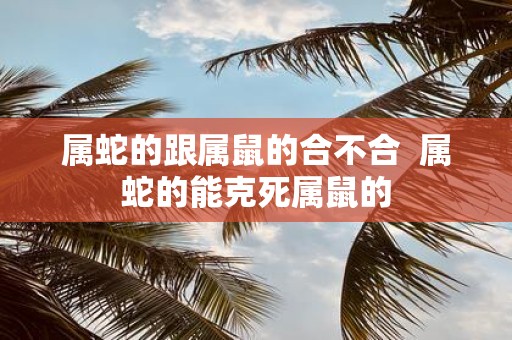 属蛇的跟属鼠的合不合 属蛇的能克死属鼠的