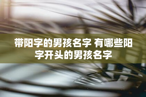 带阳字的男孩名字 有哪些阳字开头的男孩名字