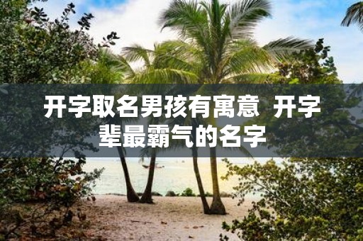 开字取名男孩有寓意 开字辈最霸气的名字