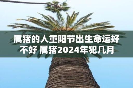 属猪的人重阳节出生命运好不好 属猪2025年犯几月