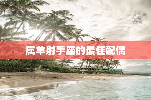 属羊射手座的最佳配偶