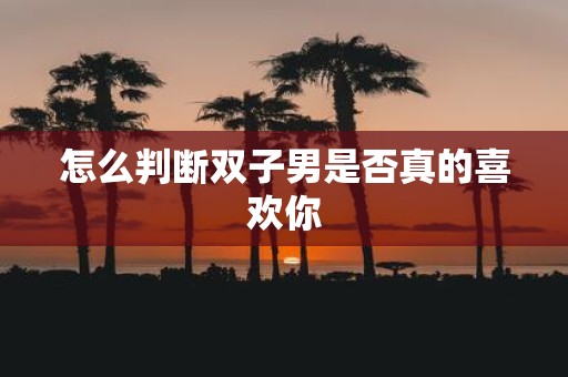 怎么判断双子男是否真的喜欢你